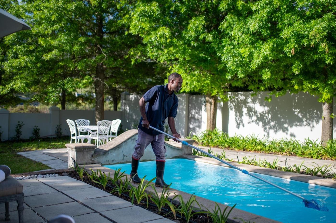 Maison D'Ail Guest House Franschhoek Ngoại thất bức ảnh