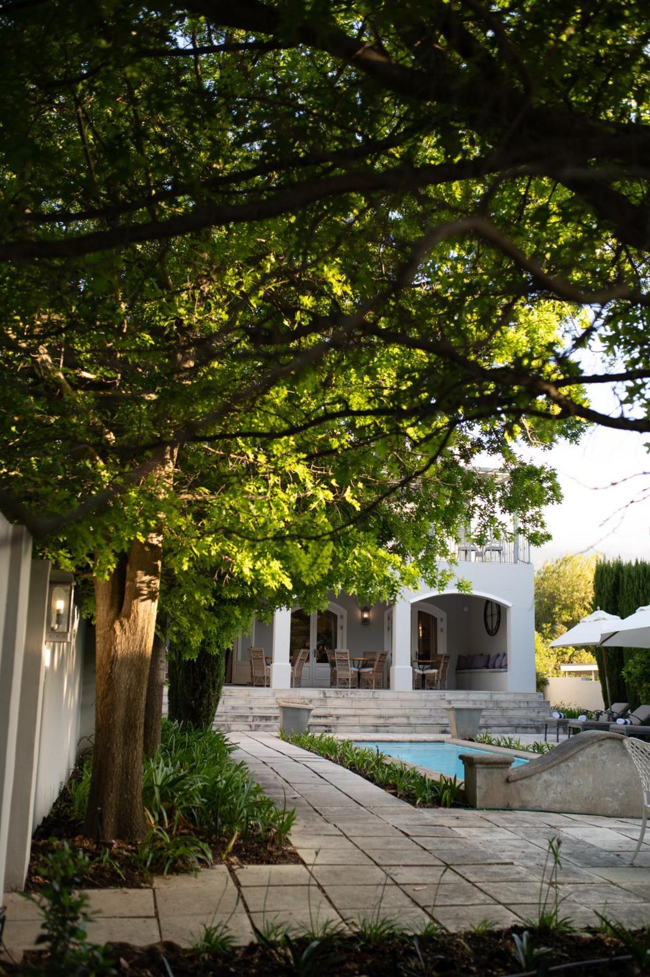 Maison D'Ail Guest House Franschhoek Ngoại thất bức ảnh
